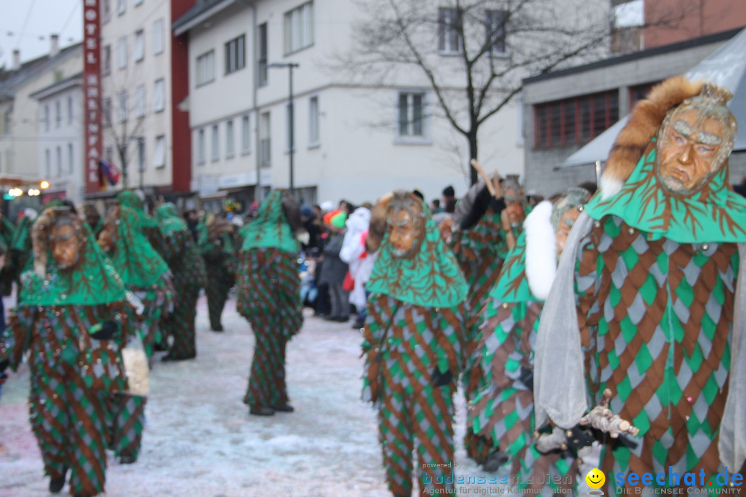 Fasnachtsumzug: Neuhausen - Schweiz, 18.02.2018