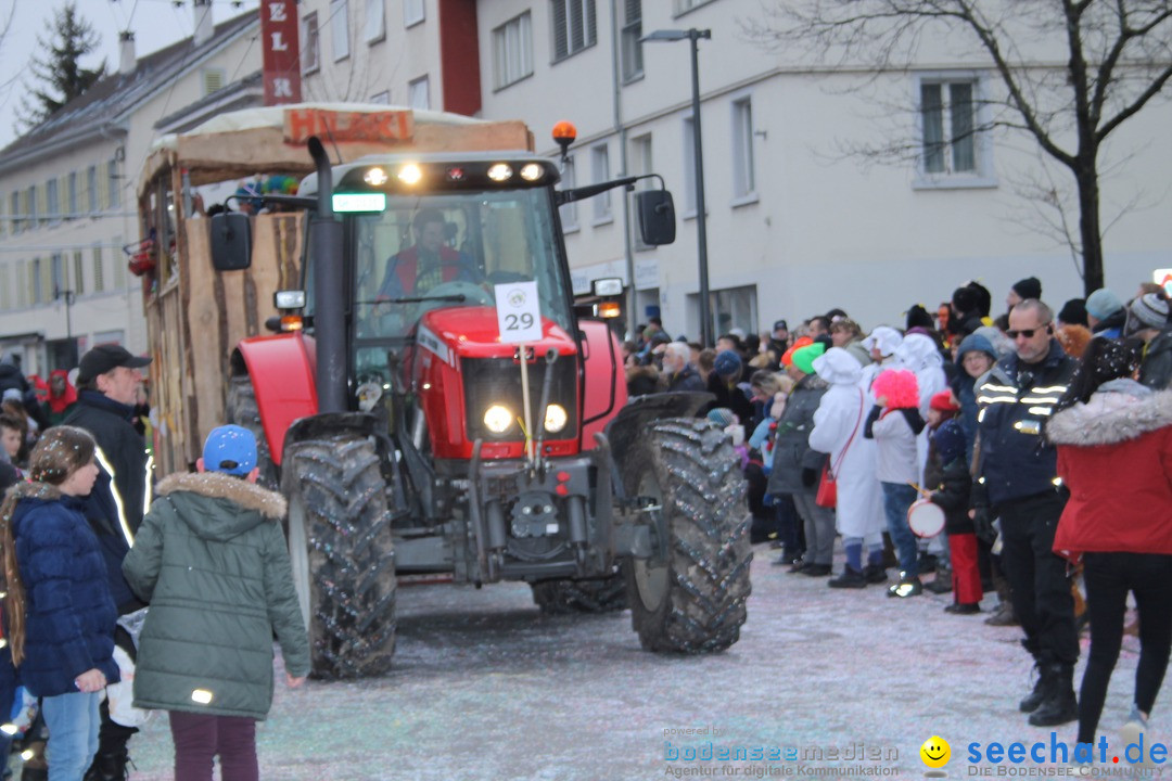 Fasnachtsumzug: Neuhausen - Schweiz, 18.02.2018