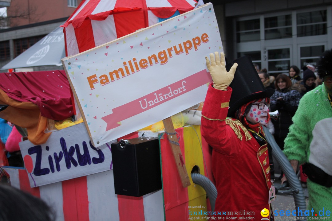 Fasnachtsumzug: Neuhausen - Schweiz, 18.02.2018