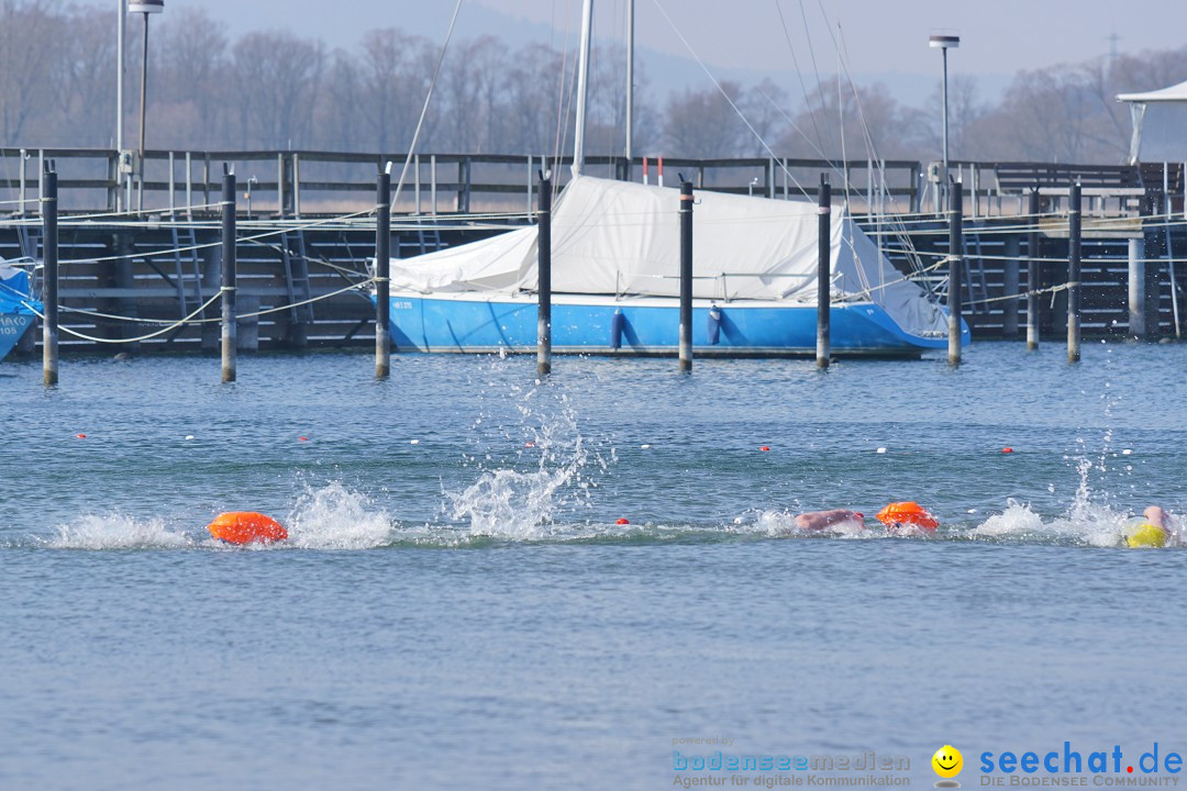 2. Lake Constance Eisman: Bodman am Bodensee by seechat, 24.02.2018