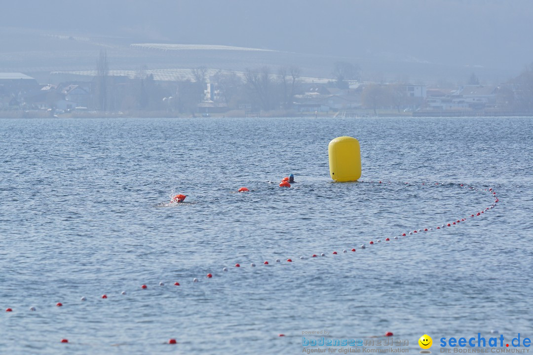 2. Lake Constance Eisman: Bodman am Bodensee by seechat, 24.02.2018