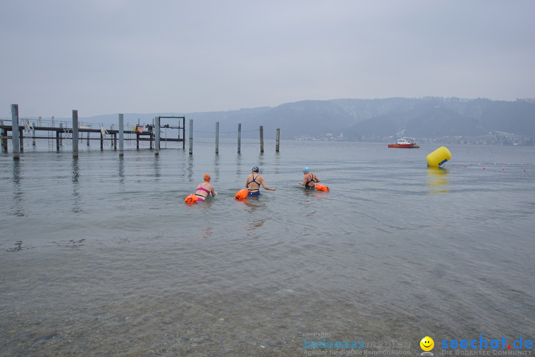 2. Lake Constance Eisman: Bodman am Bodensee by seechat, 24.02.2018