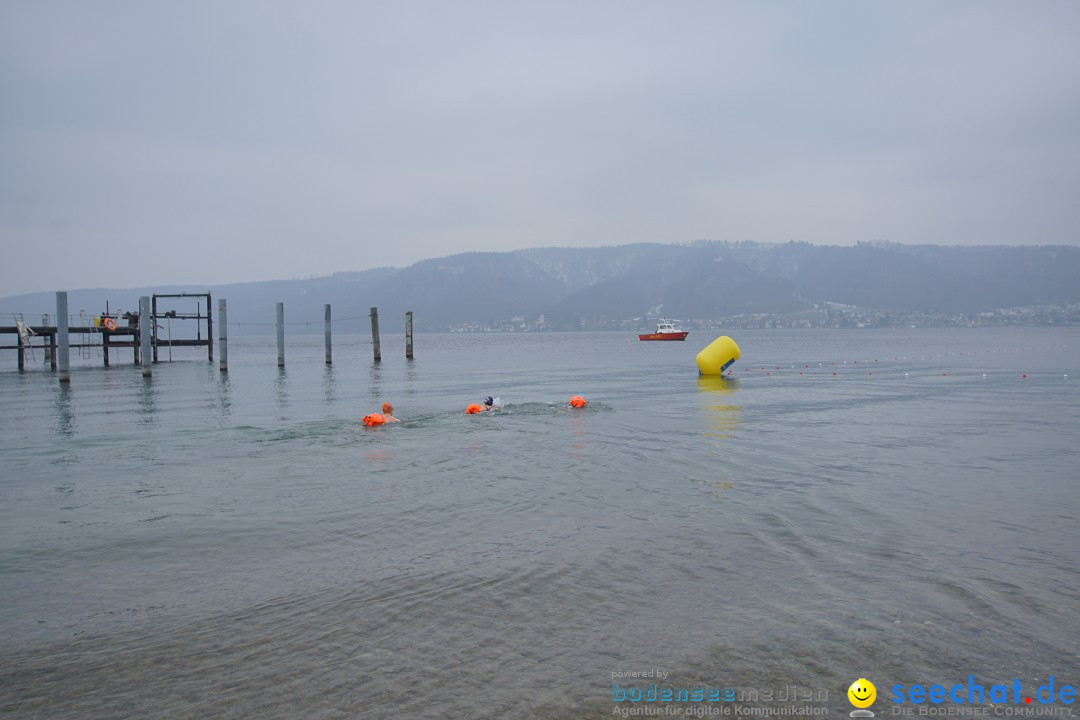 2. Lake Constance Eisman: Bodman am Bodensee by seechat, 24.02.2018