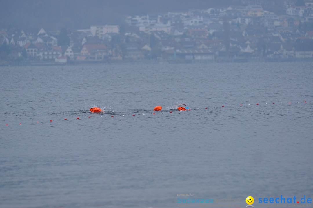 2. Lake Constance Eisman: Bodman am Bodensee by seechat, 24.02.2018