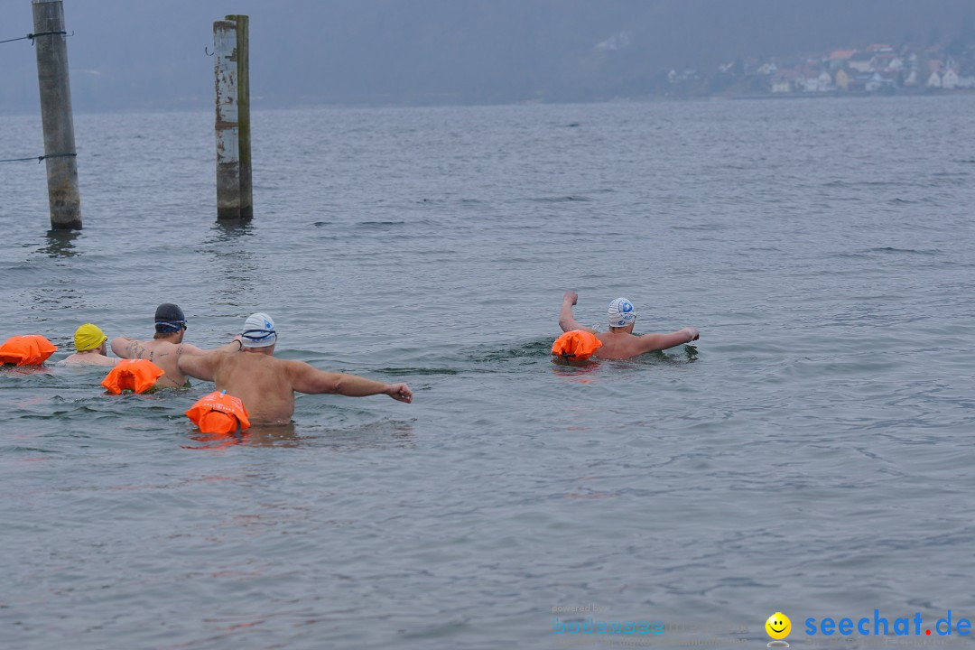 2. Lake Constance Eisman: Bodman am Bodensee by seechat, 24.02.2018