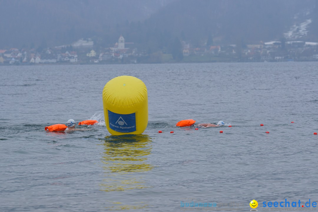 2. Lake Constance Eisman: Bodman am Bodensee by seechat, 24.02.2018