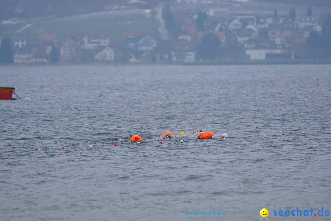 2. Lake Constance Eisman: Bodman am Bodensee by seechat, 24.02.2018