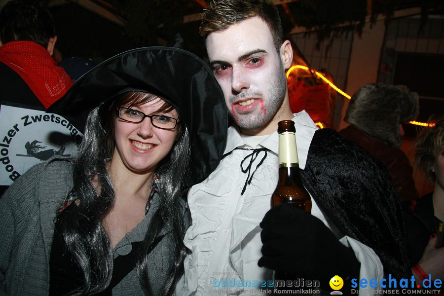 Hexenball: Lindau am Bodensee, 10.02.2010