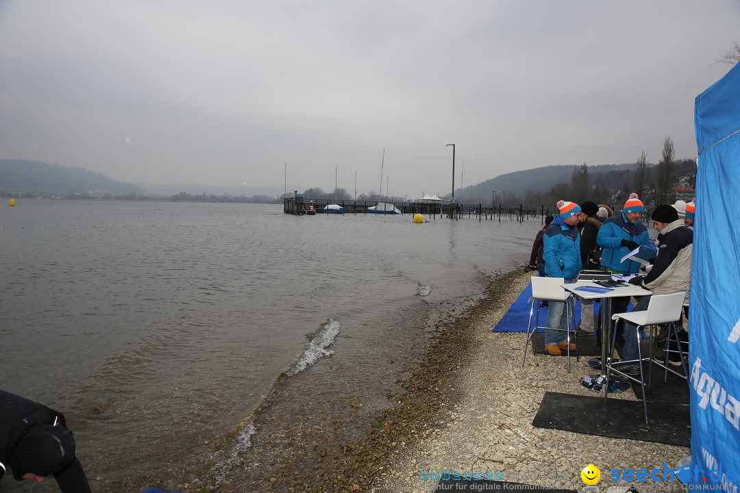 2. Lake Constance Eisman: Bodman am Bodensee by seechat, 24.02.2018