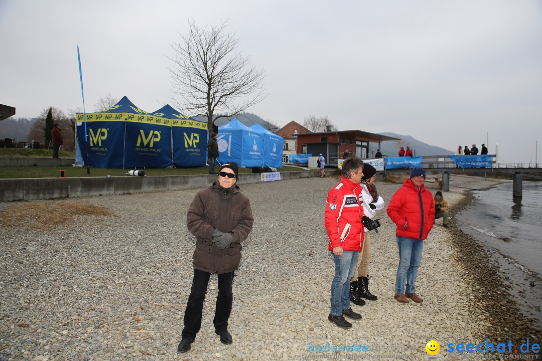 2. Lake Constance Eisman: Bodman am Bodensee by seechat, 24.02.2018