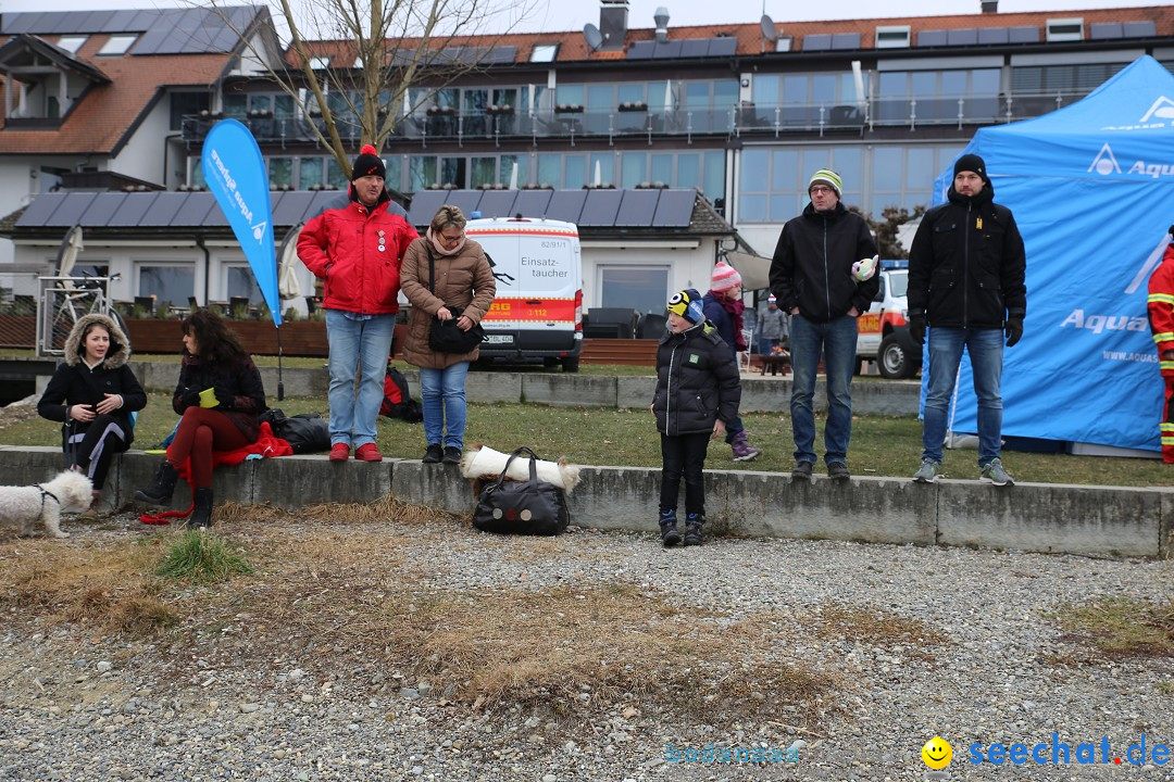 2. Lake Constance Eisman: Bodman am Bodensee by seechat, 24.02.2018