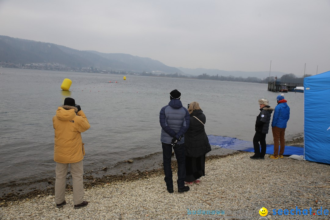 2. Lake Constance Eisman: Bodman am Bodensee by seechat, 24.02.2018