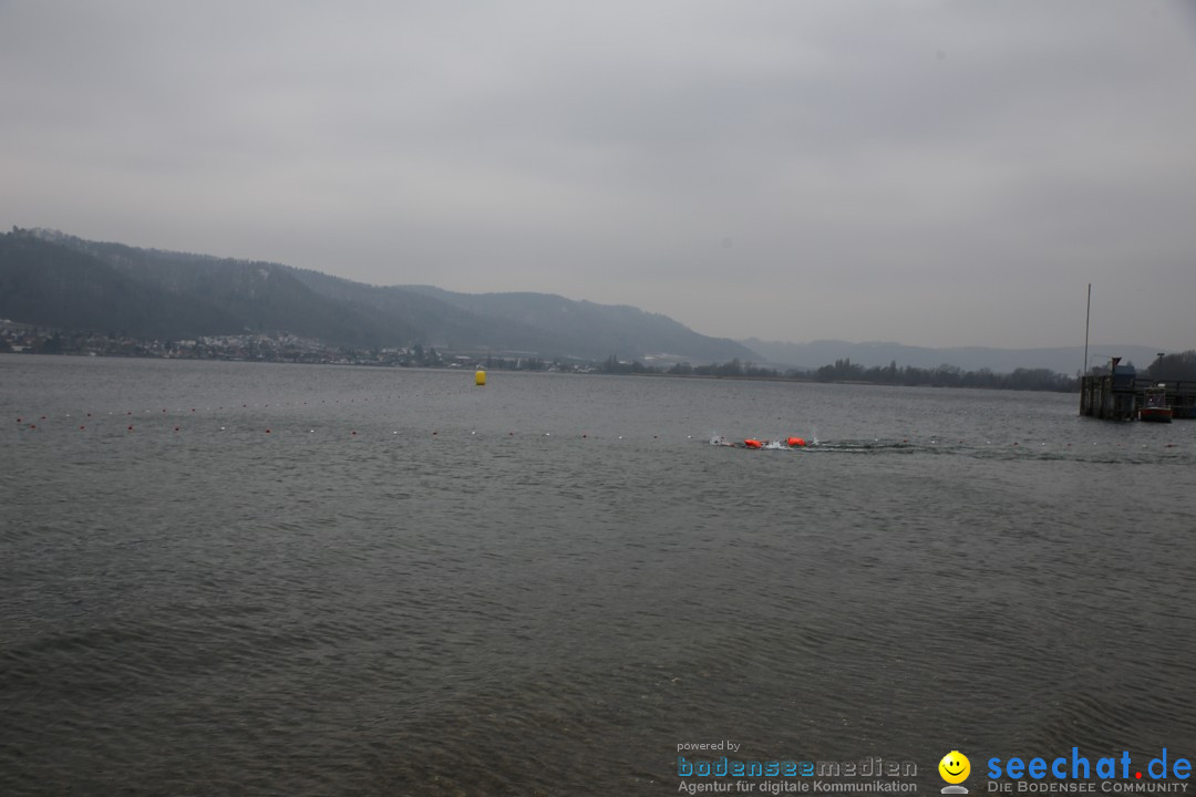 2. Lake Constance Eisman: Bodman am Bodensee by seechat, 24.02.2018