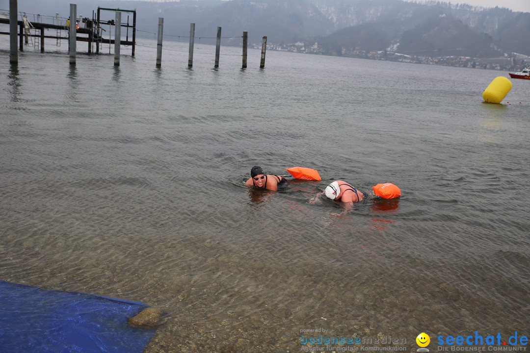 2. Lake Constance Eisman: Bodman am Bodensee by seechat, 24.02.2018