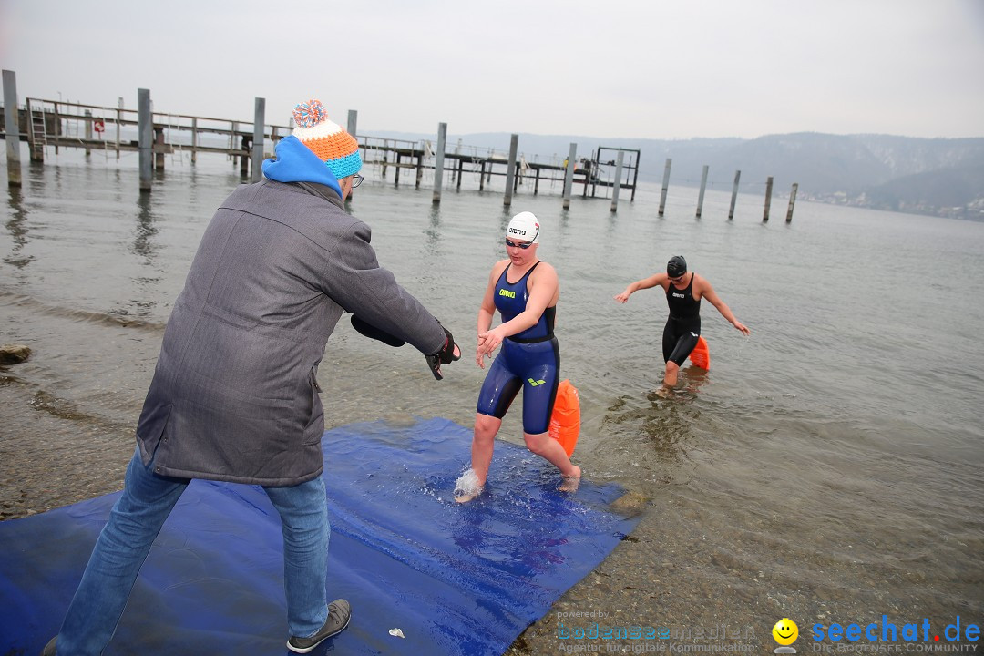 2. Lake Constance Eisman: Bodman am Bodensee by seechat, 24.02.2018