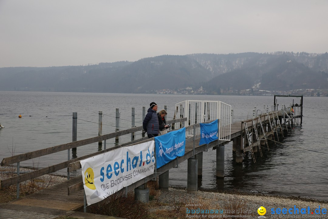 2. Lake Constance Eisman: Bodman am Bodensee by seechat, 24.02.2018