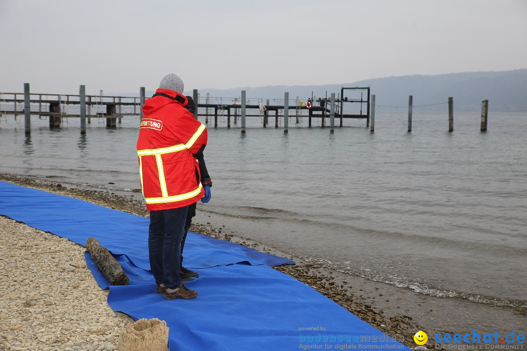 2. Lake Constance Eisman: Bodman am Bodensee by seechat, 24.02.2018