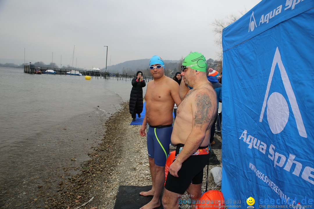 2. Lake Constance Eisman: Bodman am Bodensee by seechat, 24.02.2018