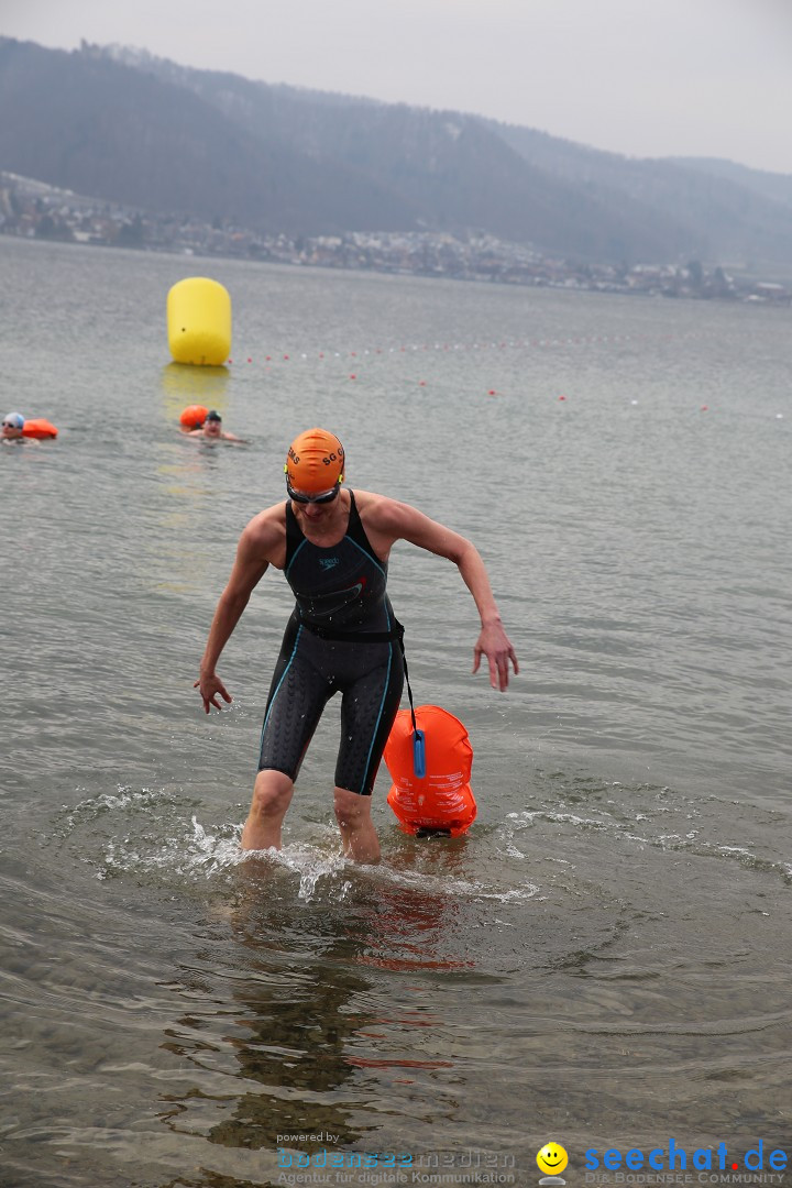 2. Lake Constance Eisman: Bodman am Bodensee by seechat, 24.02.2018