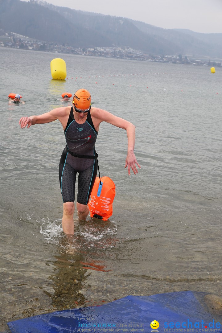 2. Lake Constance Eisman: Bodman am Bodensee by seechat, 24.02.2018