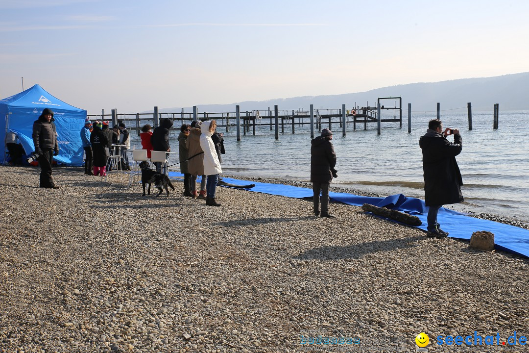 2. Lake Constance Eisman: Bodman am Bodensee by seechat, 24.02.2018