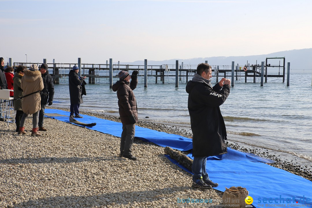 2. Lake Constance Eisman: Bodman am Bodensee by seechat, 24.02.2018