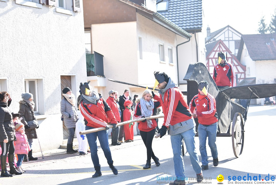 Fasnachtsumzug: Berlingen - Schweiz, 24.02.2018