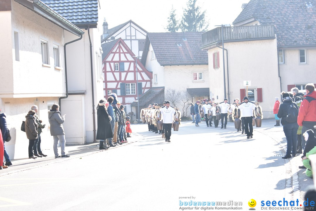 Fasnachtsumzug: Berlingen - Schweiz, 24.02.2018