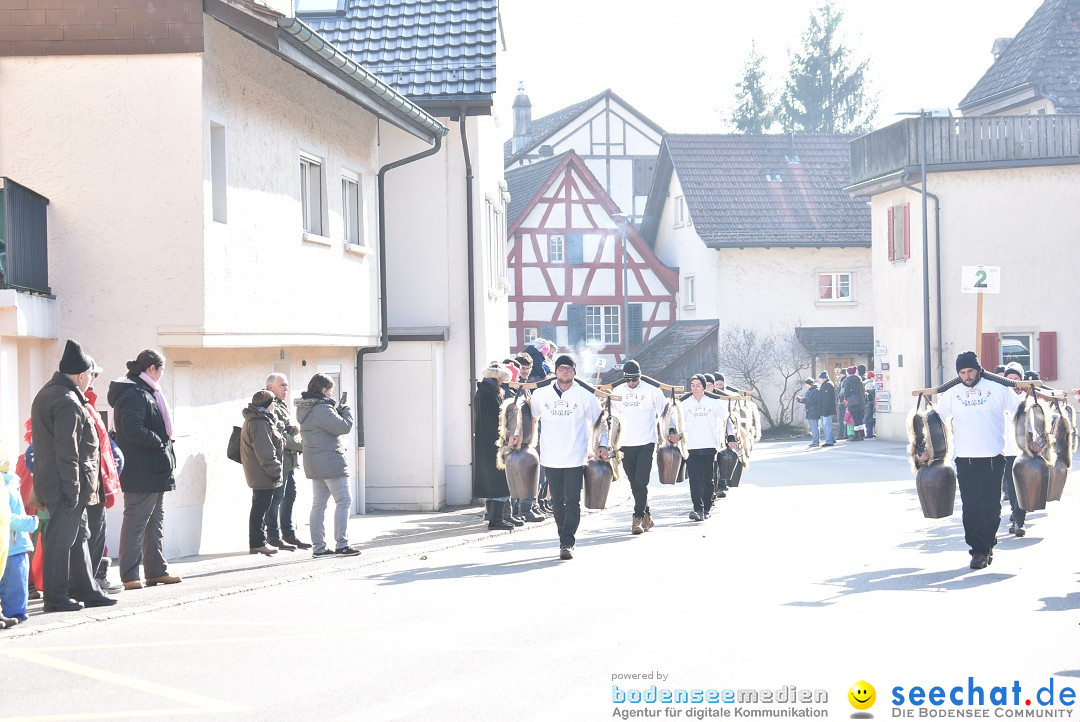 Fasnachtsumzug: Berlingen - Schweiz, 24.02.2018