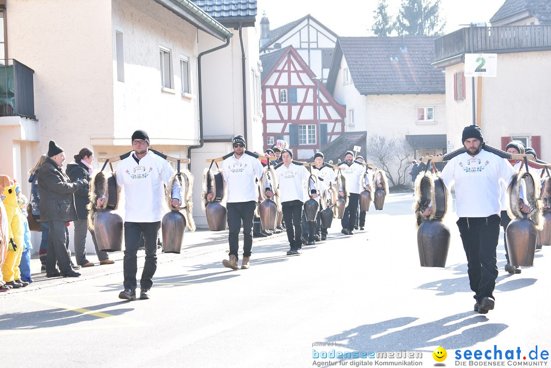 Fasnachtsumzug: Berlingen - Schweiz, 24.02.2018