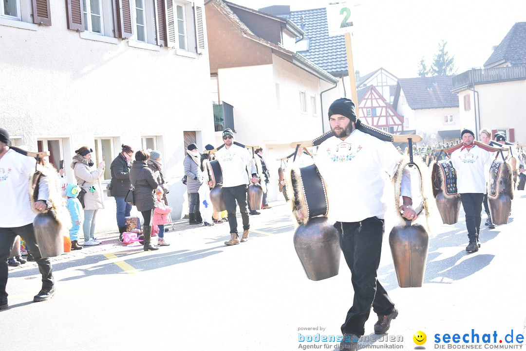 Fasnachtsumzug: Berlingen - Schweiz, 24.02.2018