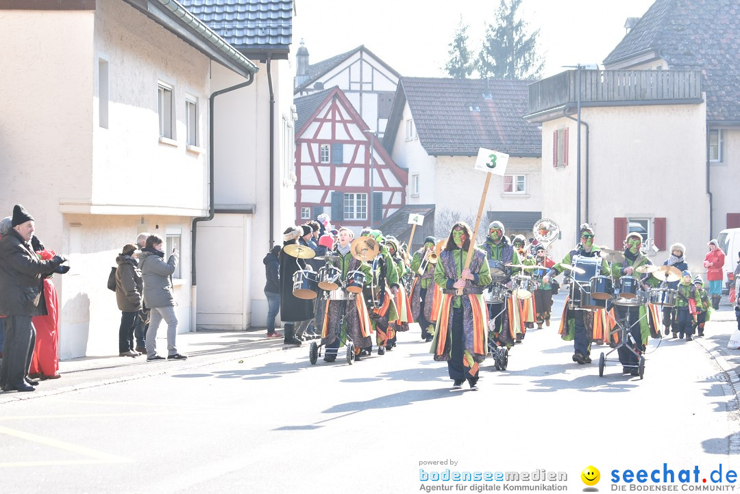 Fasnachtsumzug: Berlingen - Schweiz, 24.02.2018