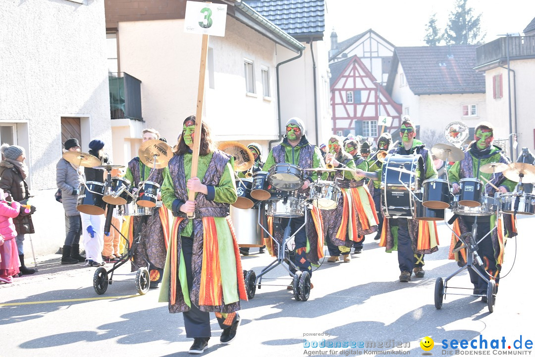 Fasnachtsumzug: Berlingen - Schweiz, 24.02.2018