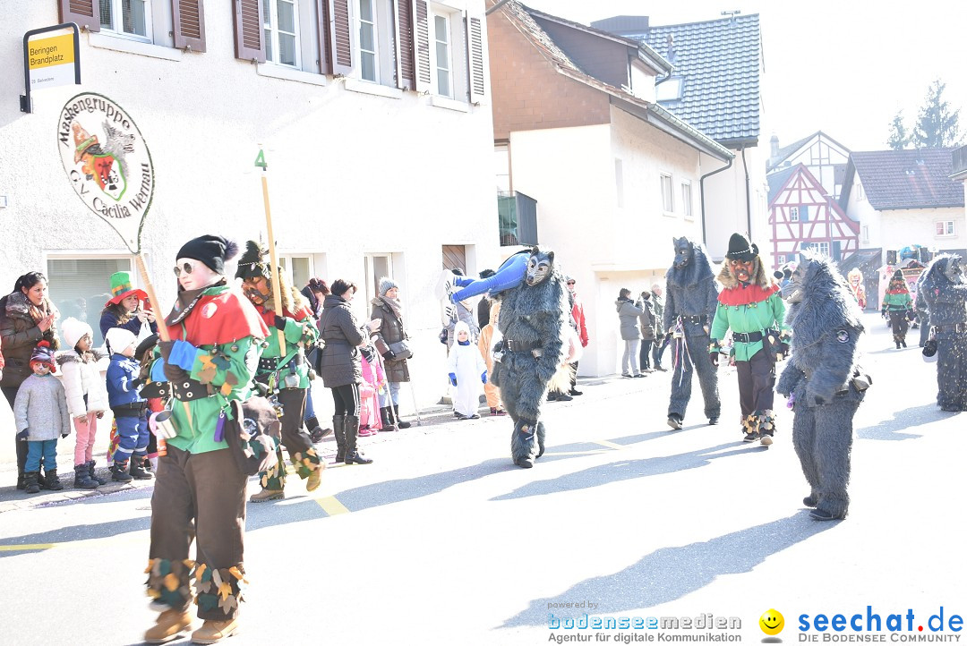 Fasnachtsumzug: Berlingen - Schweiz, 24.02.2018