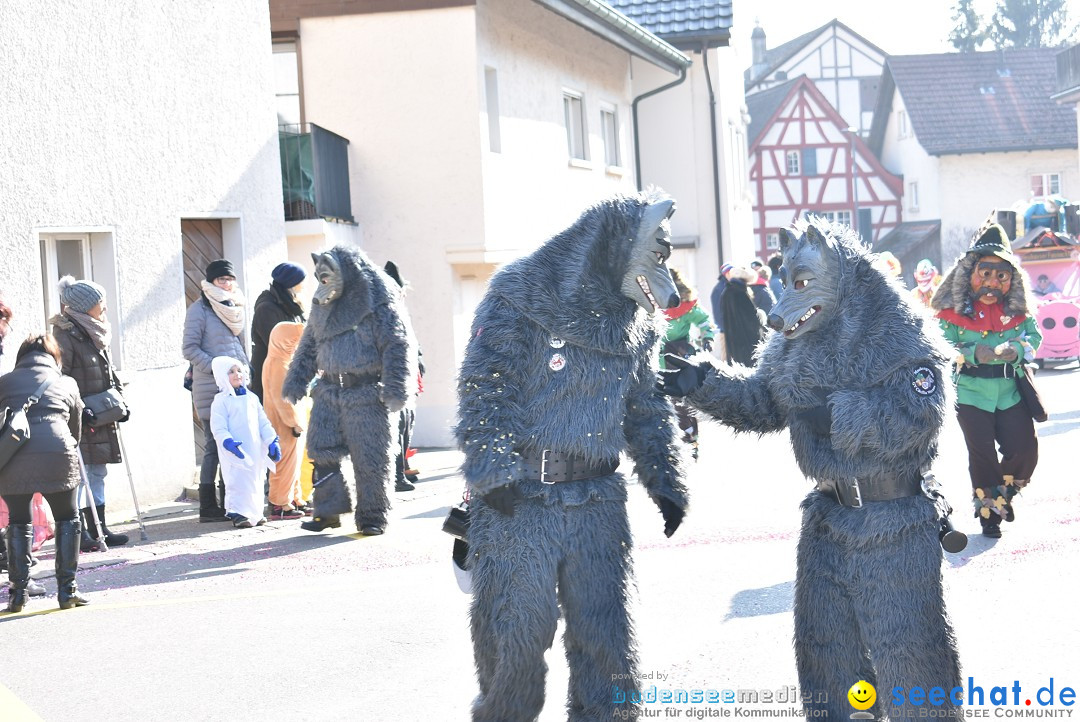 Fasnachtsumzug: Berlingen - Schweiz, 24.02.2018