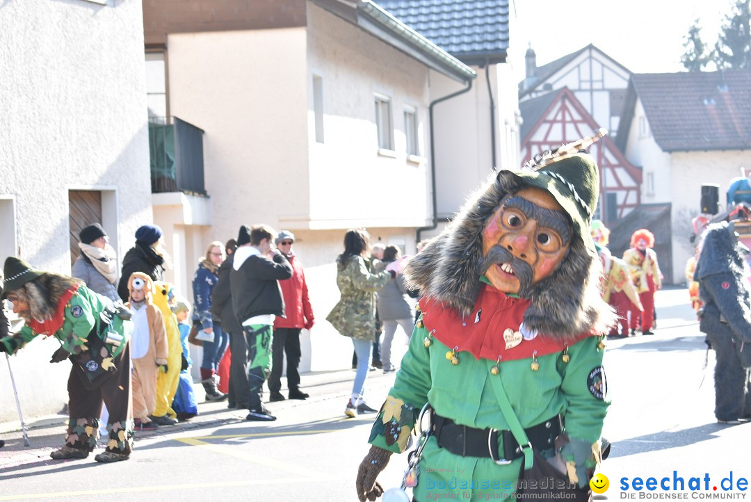 Fasnachtsumzug: Berlingen - Schweiz, 24.02.2018