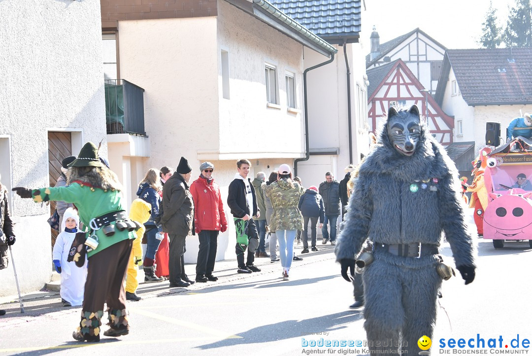 Fasnachtsumzug: Berlingen - Schweiz, 24.02.2018