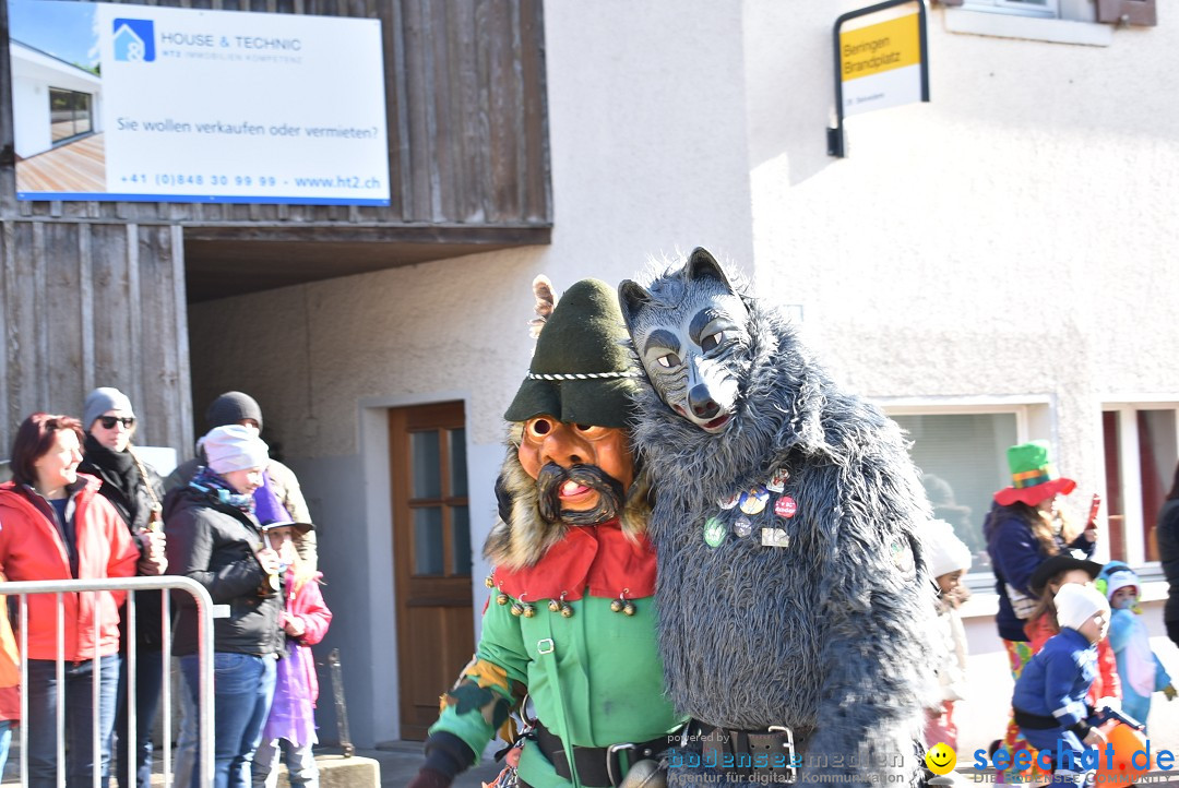 Fasnachtsumzug: Berlingen - Schweiz, 24.02.2018