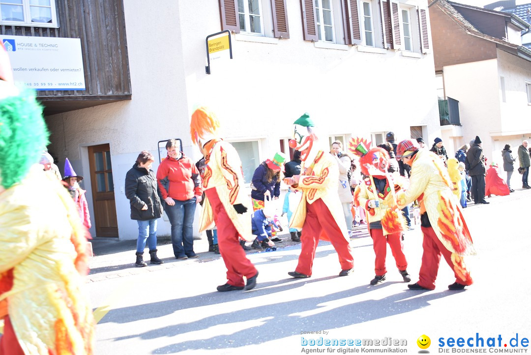 Fasnachtsumzug: Berlingen - Schweiz, 24.02.2018