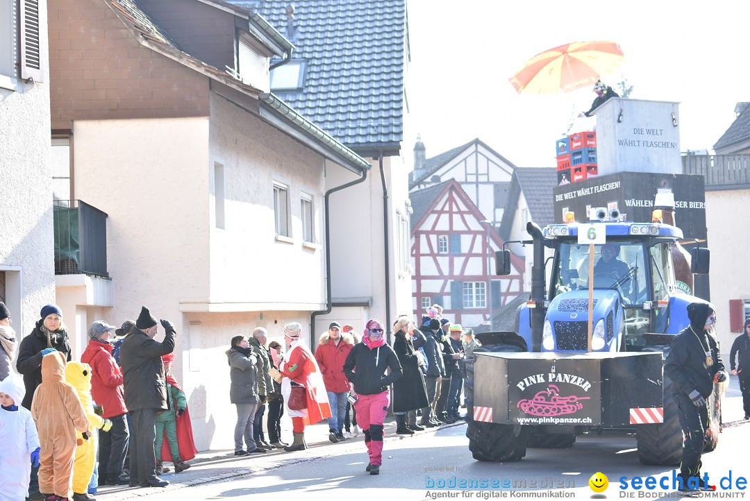 Fasnachtsumzug: Berlingen - Schweiz, 24.02.2018