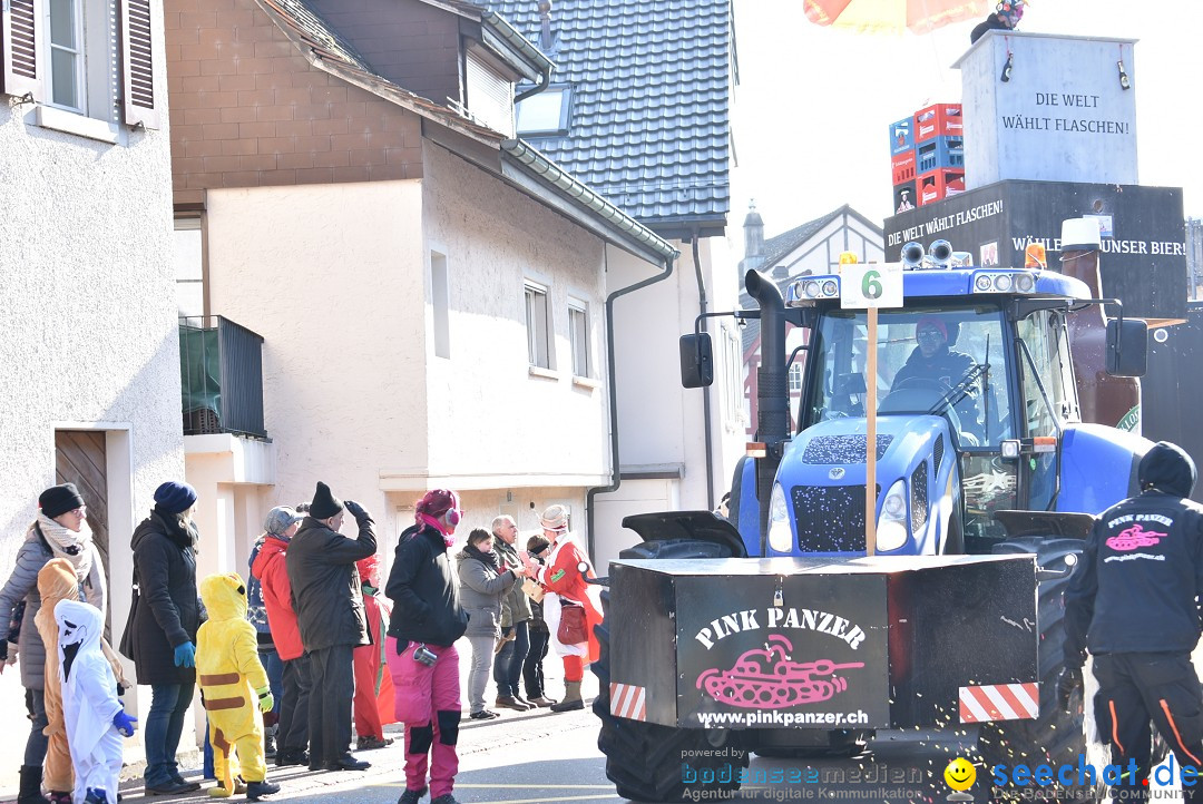 Fasnachtsumzug: Berlingen - Schweiz, 24.02.2018