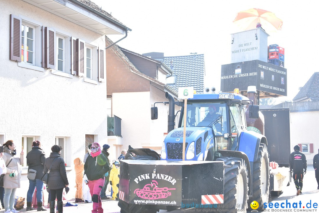 Fasnachtsumzug: Berlingen - Schweiz, 24.02.2018