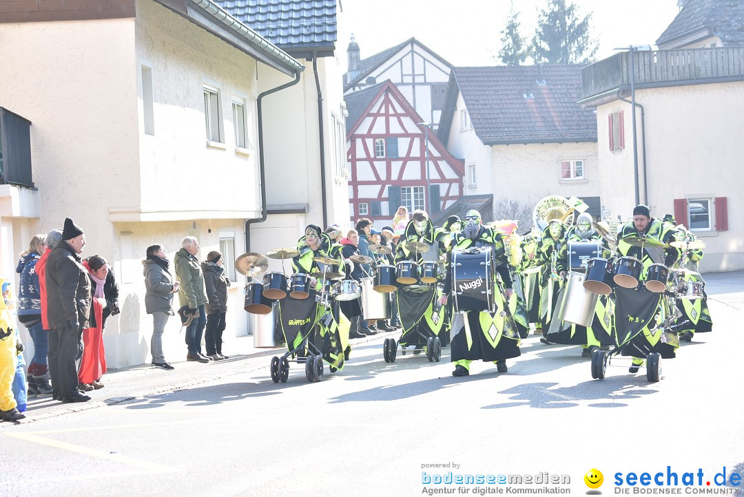 Fasnachtsumzug: Berlingen - Schweiz, 24.02.2018