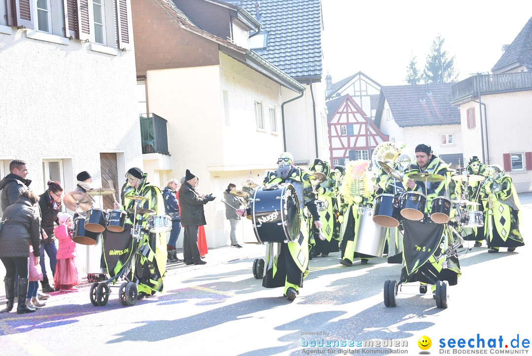 Fasnachtsumzug: Berlingen - Schweiz, 24.02.2018