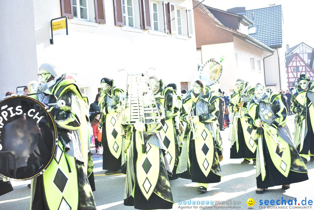 Fasnachtsumzug: Berlingen - Schweiz, 24.02.2018