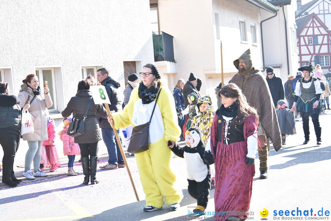 Fasnachtsumzug: Berlingen - Schweiz, 24.02.2018