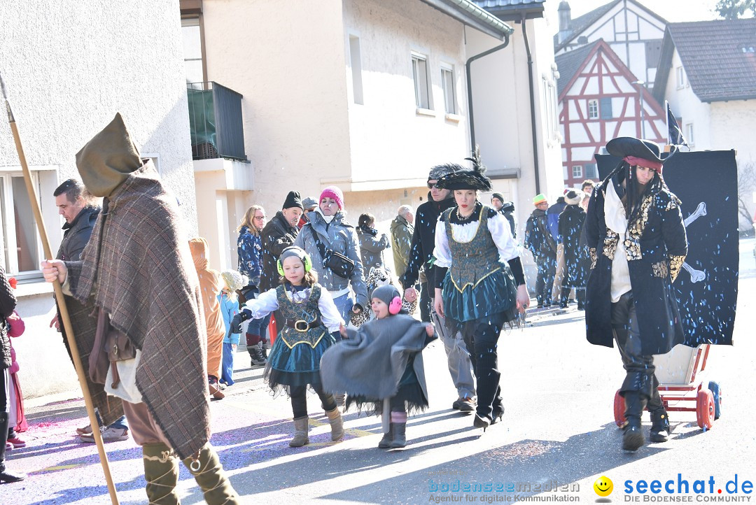 Fasnachtsumzug: Berlingen - Schweiz, 24.02.2018