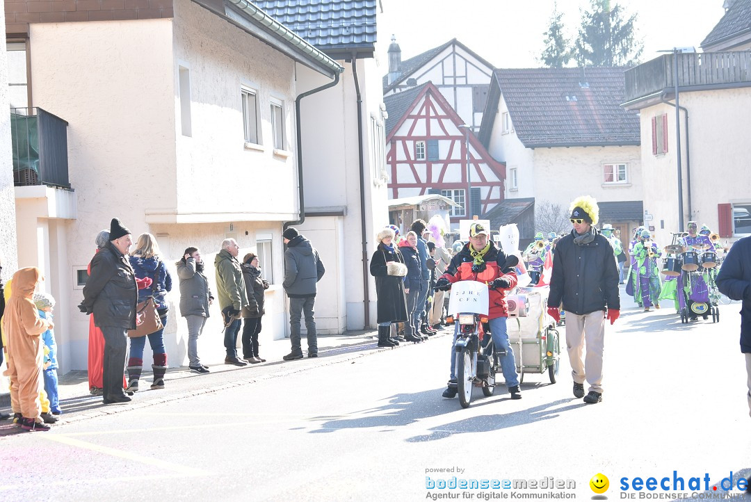 Fasnachtsumzug: Berlingen - Schweiz, 24.02.2018