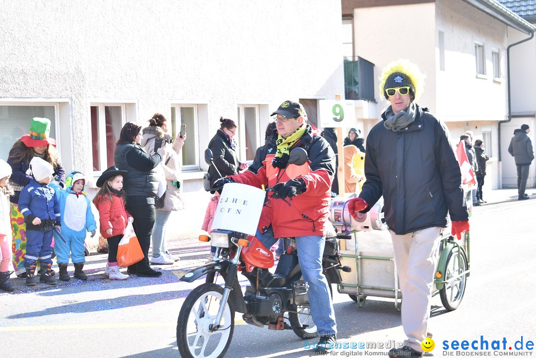 Fasnachtsumzug: Berlingen - Schweiz, 24.02.2018