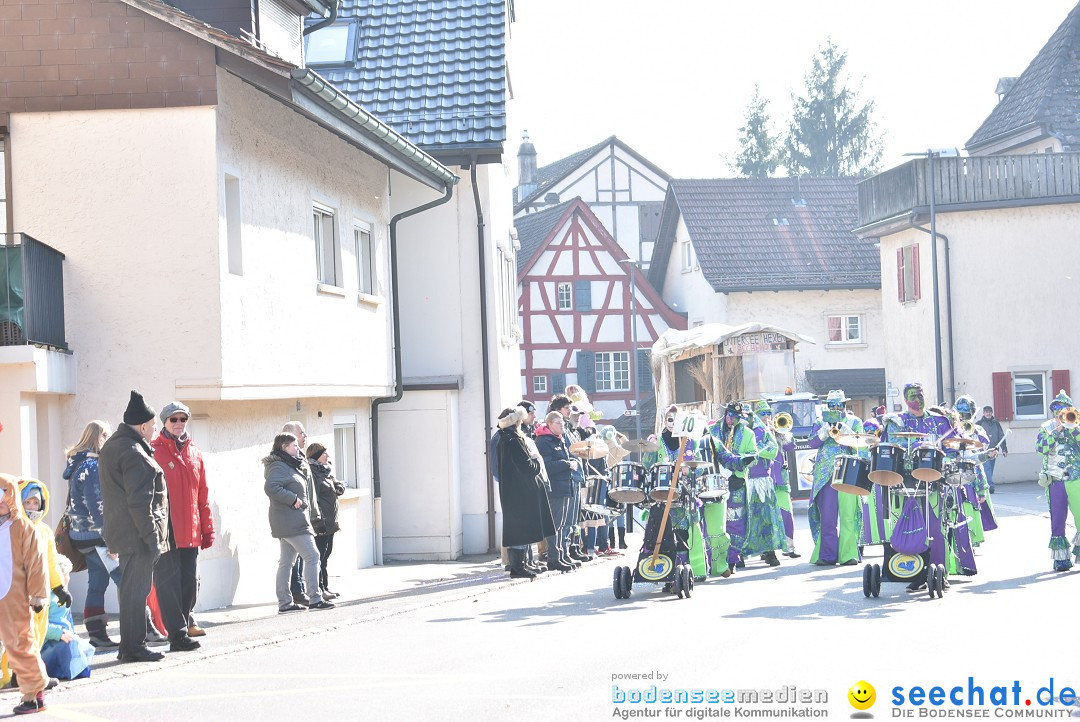 Fasnachtsumzug: Berlingen - Schweiz, 24.02.2018